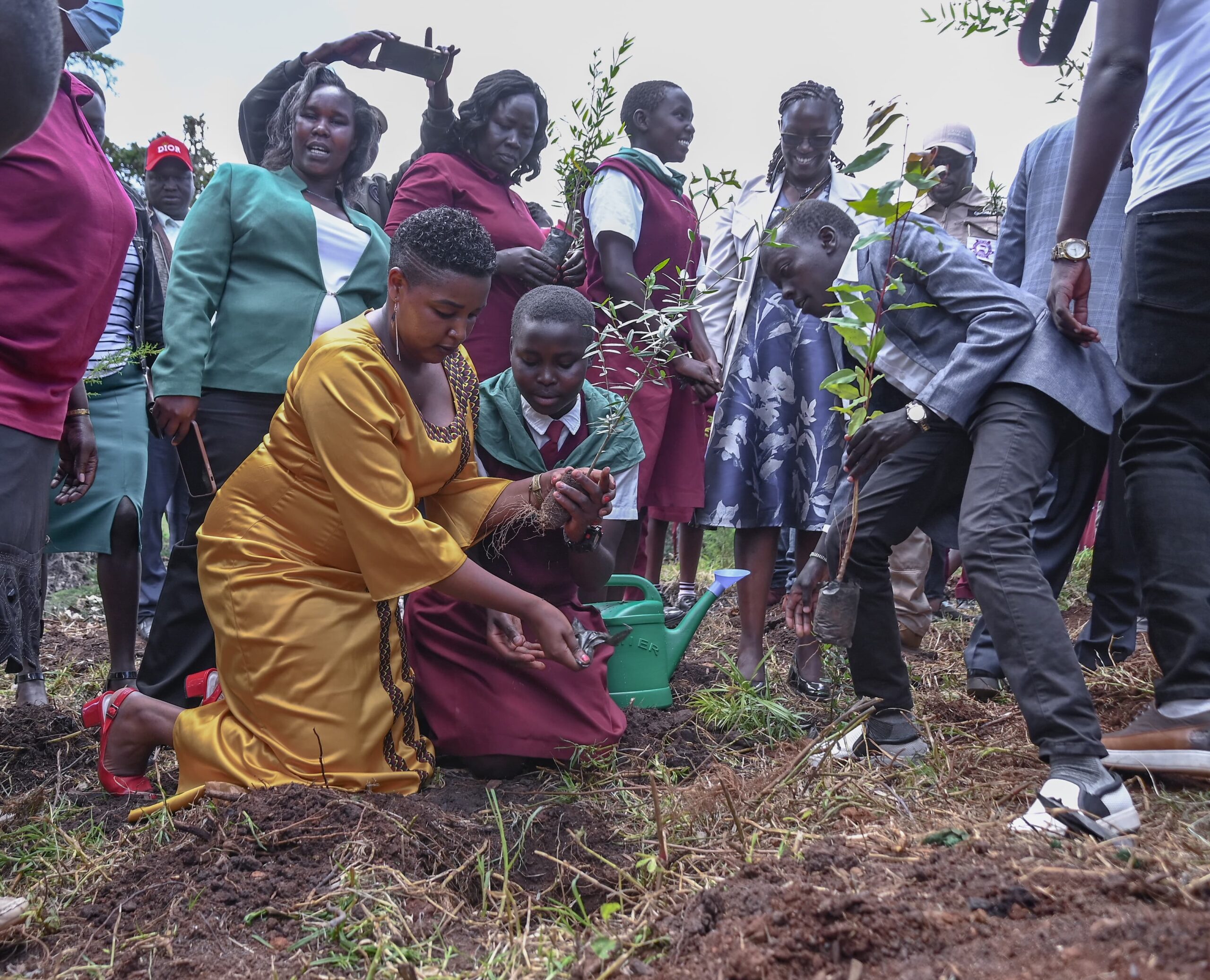 Ecosmart Africa Partnerships
